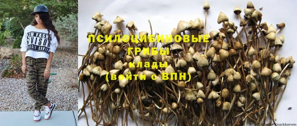 PSILOCYBIN Бронницы